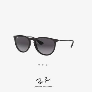 Erika Classic Ray Bans